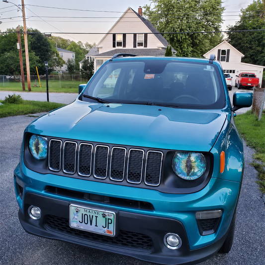 Beast Eyes Headlight Decals (1 Pair)